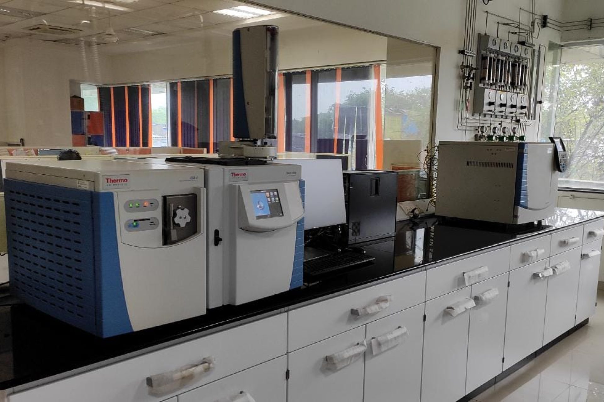 WhatsApp Image 2025-07-03 at 10.18.22